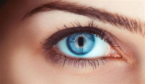 kruglyy-glaz-posle-blefaroplastiki-foto